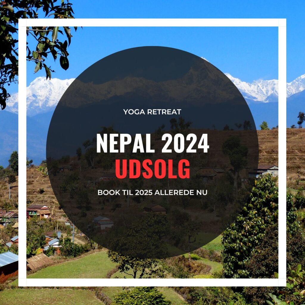 yogaretreat - Yogimind - NEPAL 2024 UDSOLG - Yogaretreat